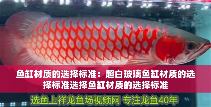 魚缸材質(zhì)的選擇標(biāo)準(zhǔn)：超白玻璃魚缸材質(zhì)的選擇標(biāo)準(zhǔn)選擇魚缸材質(zhì)的選擇標(biāo)準(zhǔn)