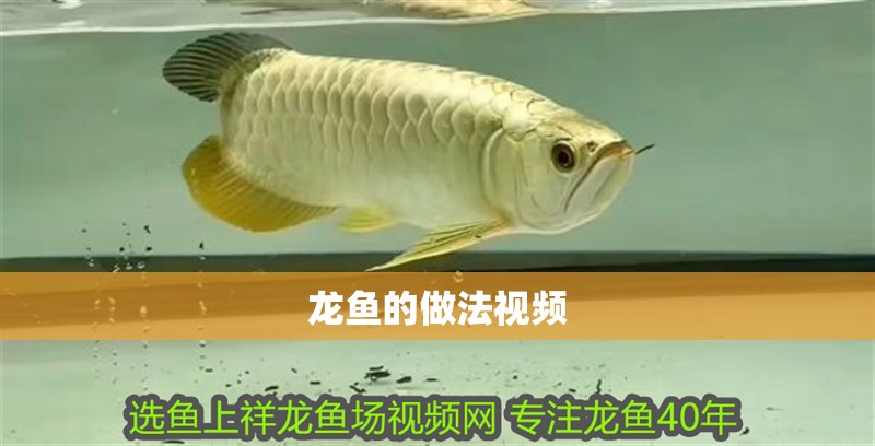 龍魚的做法視頻