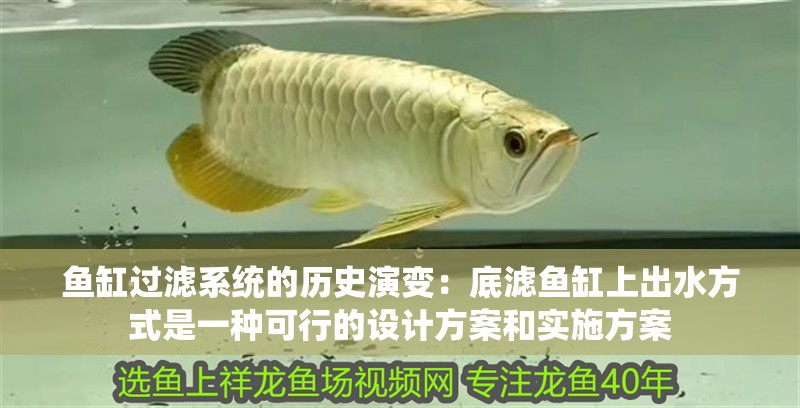 魚缸過濾系統的歷史演變：底濾魚缸上出水方式是一種可行的設計方案和實施方案