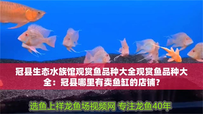 冠縣生態水族館觀賞魚品種大全觀賞魚品種大全：冠縣哪里有賣魚缸的店鋪？