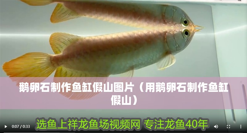 鵝卵石制作魚缸假山圖片（用鵝卵石制作魚缸假山）