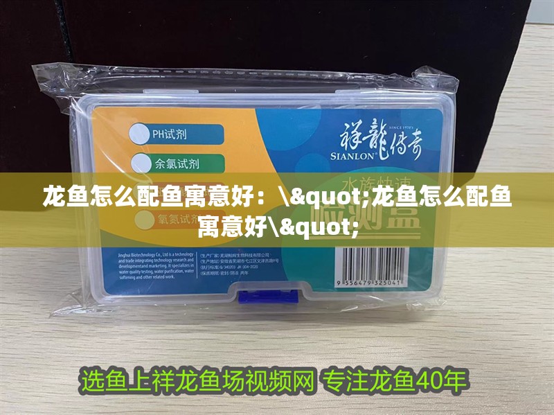 龍魚怎么配魚寓意好：\"龍魚怎么配魚寓意好\"