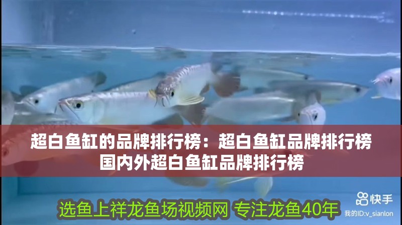 超白魚缸的品牌排行榜：超白魚缸品牌排行榜國內外超白魚缸品牌排行榜