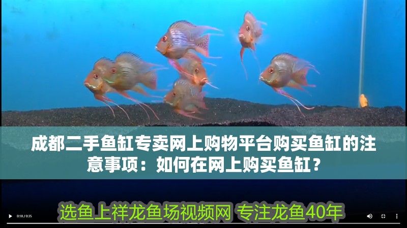成都二手魚缸專賣網上購物平臺購買魚缸的注意事項：如何在網上購買魚缸？