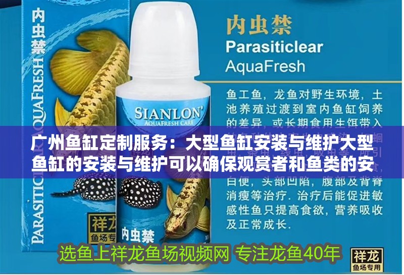 廣州魚缸定制服務：大型魚缸安裝與維護大型魚缸的安裝與維護可以確保觀賞者和魚類的安全