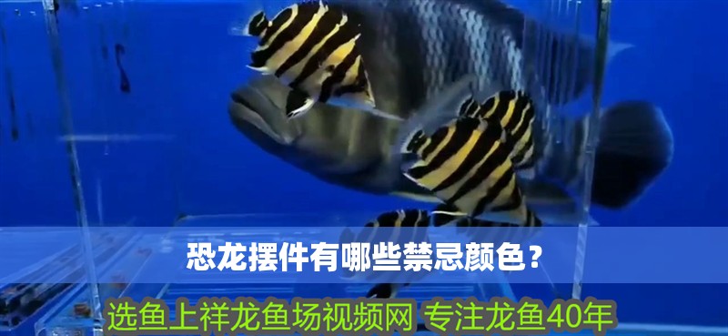 恐龍擺件有哪些禁忌顏色？