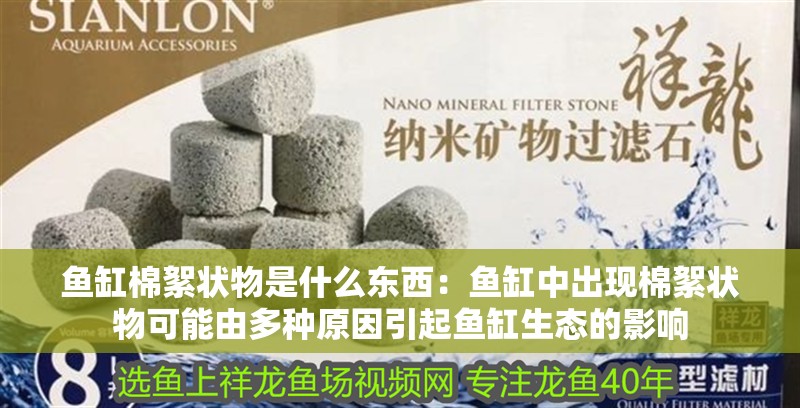 魚(yú)缸棉絮狀物是什么東西：魚(yú)缸中出現(xiàn)棉絮狀物可能由多種原因引起魚(yú)缸生態(tài)的影響 魚(yú)缸棉絮狀物是什么東西：魚(yú)缸中出現(xiàn)棉絮狀物可能由多種原因引起魚(yú)缸生態(tài)的影響 魚(yú)缸百科