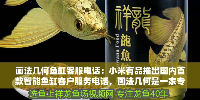 畫法幾何魚缸客服電話：小米有品推出國內首款智能魚缸客戶服務電話，畫法幾何是一家專注于水族智能領域的創新型科技企業