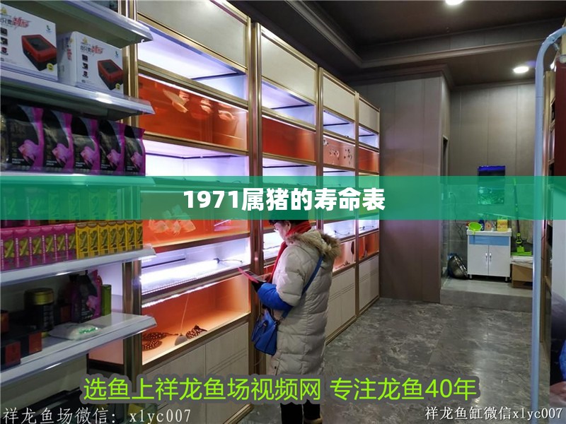 1971屬豬的壽命表