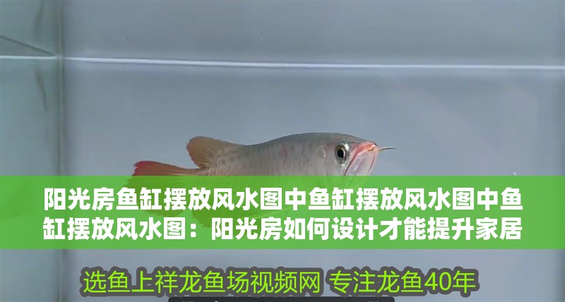 陽光房魚缸擺放風(fēng)水圖中魚缸擺放風(fēng)水圖中魚缸擺放風(fēng)水圖：陽光房如何設(shè)計才能提升家居生活品質(zhì)