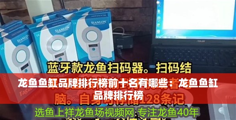 龍魚魚缸品牌排行榜前十名有哪些：龍魚魚缸品牌排行榜