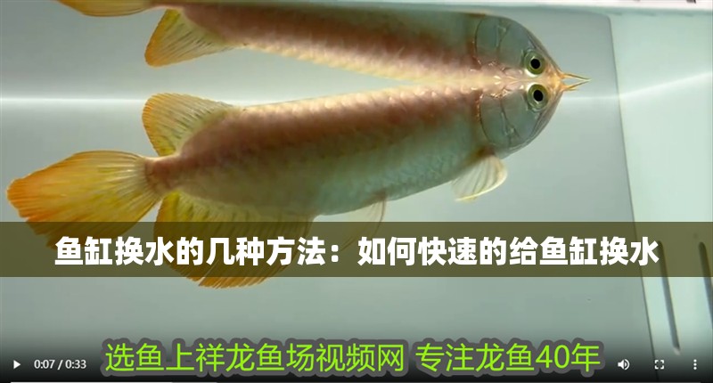 魚缸換水的幾種方法：如何快速的給魚缸換水