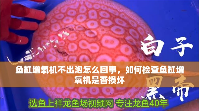 魚缸增氧機(jī)不出泡怎么回事，如何檢查魚缸增氧機(jī)是否損壞