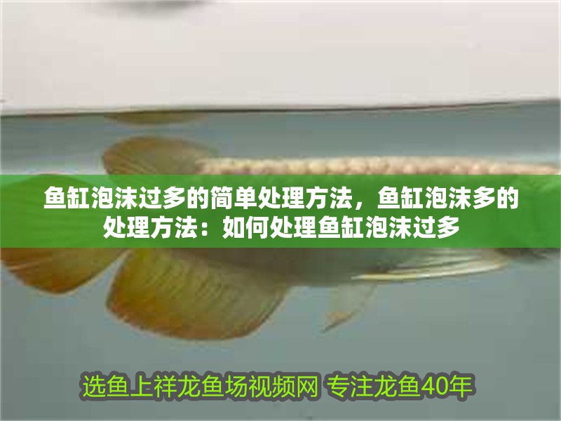 魚(yú)缸泡沫過(guò)多的簡(jiǎn)單處理方法，魚(yú)缸泡沫多的處理方法：如何處理魚(yú)缸泡沫過(guò)多
