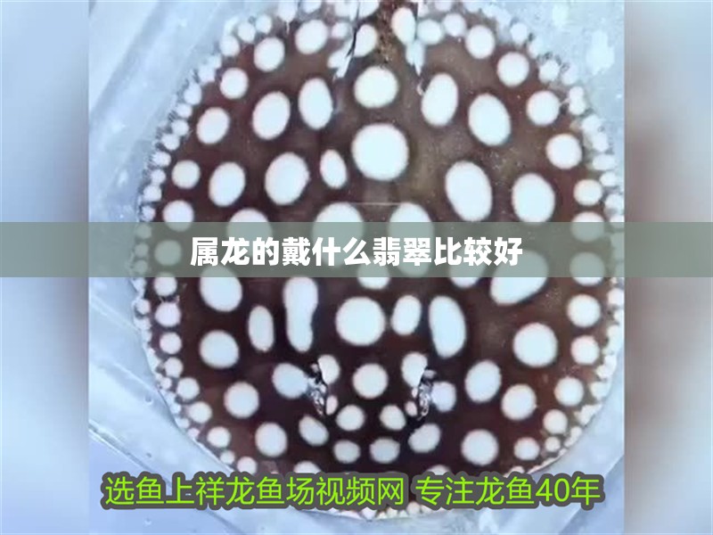 屬龍的戴什么翡翠比較好