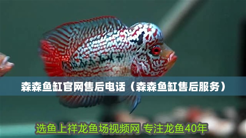 森森魚缸官網(wǎng)售后電話（森森魚缸售后服務）