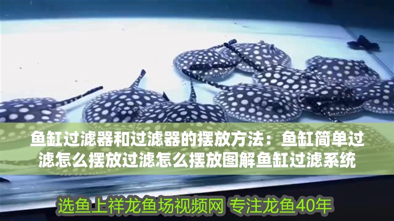 魚缸過濾器和過濾器的擺放方法：魚缸簡單過濾怎么擺放過濾怎么擺放圖解魚缸過濾系統