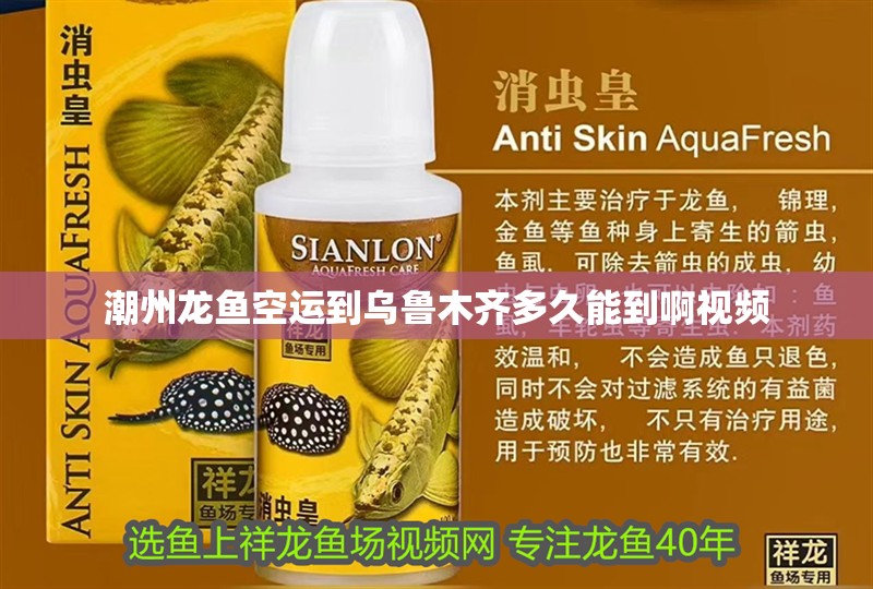 <strong><mark>潮州</mark></strong>龍魚空運到烏魯木齊多久能到啊視頻