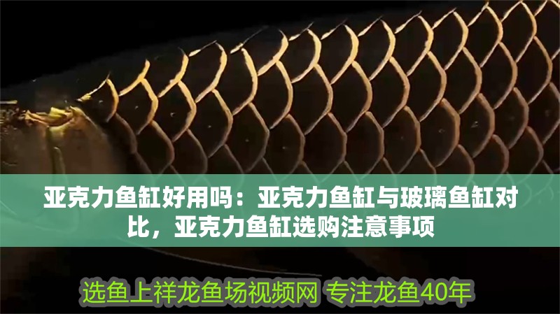 亞克力魚缸好用嗎：亞克力魚缸與玻璃魚缸對(duì)比，亞克力魚缸選購注意事項(xiàng)