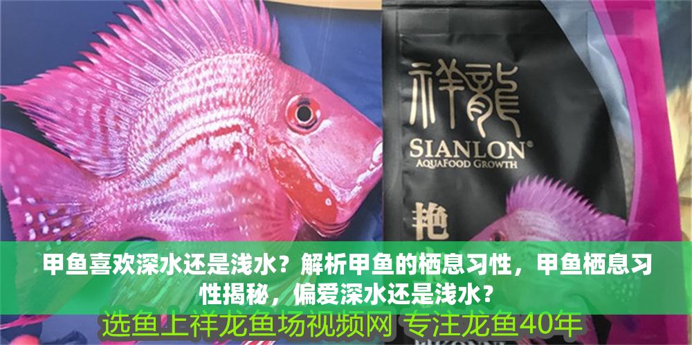甲魚喜歡深水還是淺水？解析甲魚的棲息習性，甲魚棲息習性揭秘，偏愛深水還是淺水？