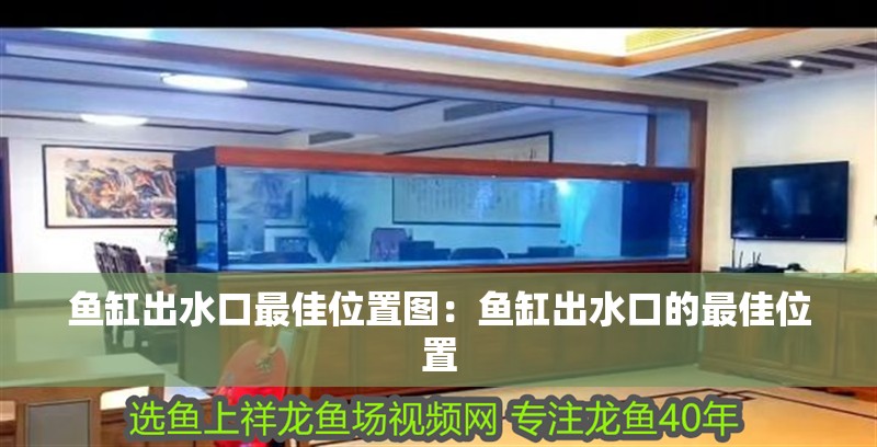 魚缸出水口最佳位置圖：魚缸出水口的最佳位置