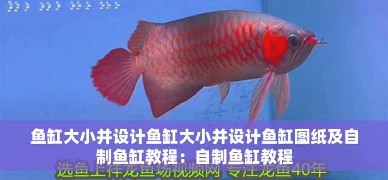 魚缸大小并設計魚缸大小并設計魚缸圖紙及自制魚缸教程：自制魚缸教程 魚缸大小并設計魚缸大小并設計魚缸圖紙及自制魚缸教程：自制魚缸教程 魚缸百科