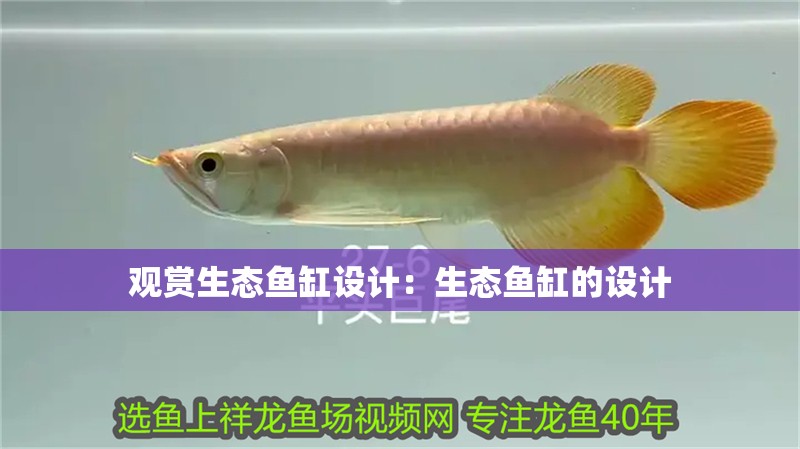 觀賞生態(tài)魚缸設(shè)計(jì)：生態(tài)魚缸的設(shè)計(jì) 觀賞生態(tài)魚缸設(shè)計(jì)：生態(tài)魚缸的設(shè)計(jì) 魚缸百科