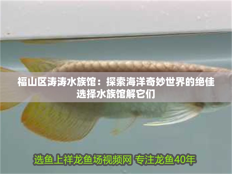福山區(qū)濤濤水族館：探索海洋奇妙世界的絕佳選擇水族館解它們