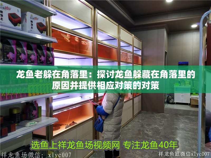 龍魚老躲在角落里：探討龍魚躲藏在角落里的原因并提供相應對策的對策