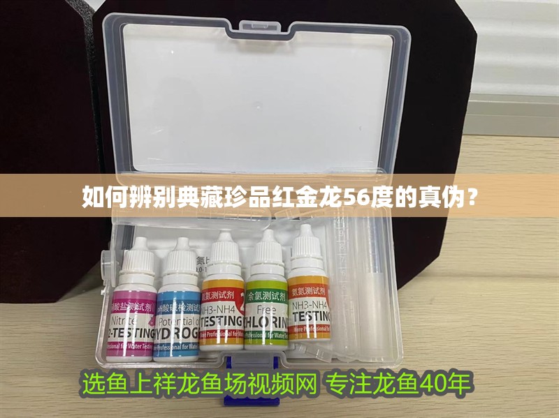 如何辨別典藏珍品紅金龍56度的真偽？