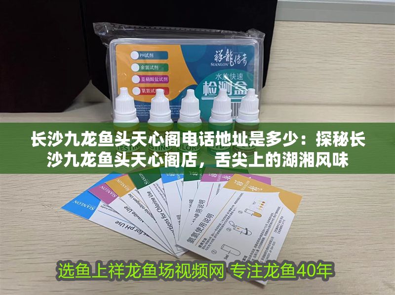 長沙九龍魚頭天心閣電話地址是多少：探秘長沙九龍魚頭天心閣店，舌尖上的湖湘風味
