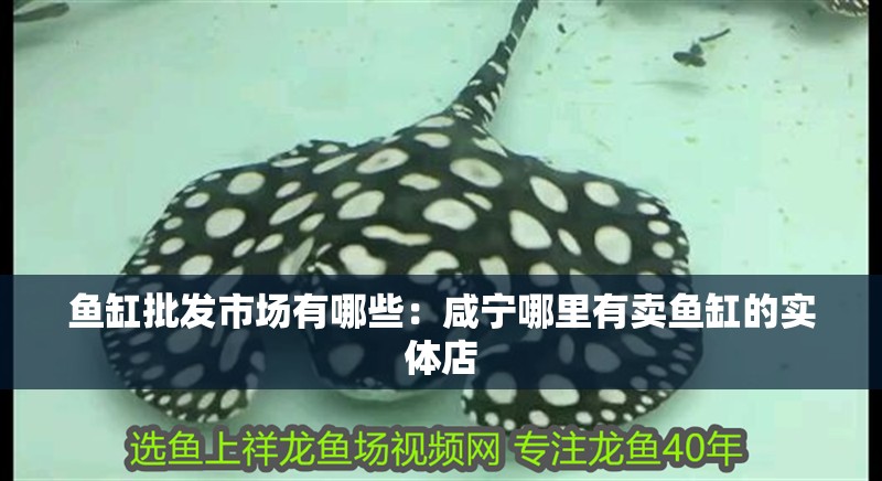 魚缸批發市場有哪些：咸寧哪里有賣魚缸的實體店