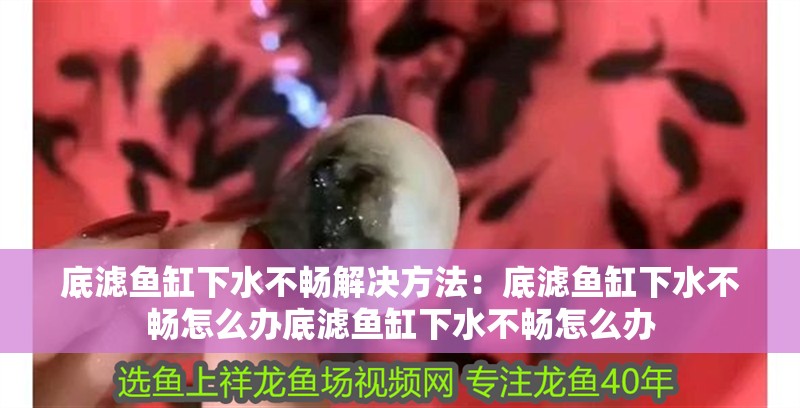 底濾魚缸下水不暢解決方法：底濾魚缸下水不暢怎么辦底濾魚缸下水不暢怎么辦