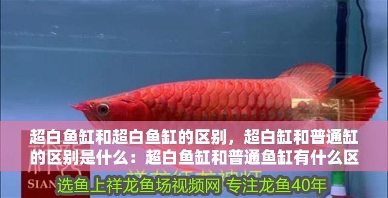 超白魚缸和超白魚缸的區(qū)別，超白缸和普通缸的區(qū)別是什么：超白魚缸和普通魚缸有什么區(qū)別？