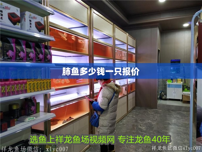肺魚(yú)多少錢一只報(bào)價(jià)