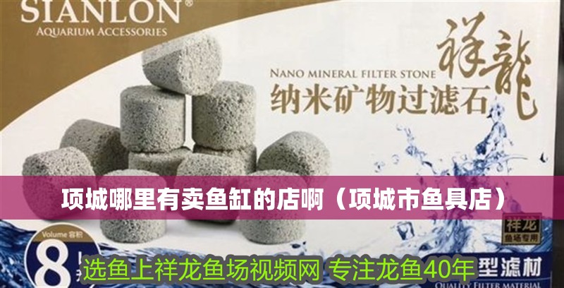 項城哪里有賣魚缸的店啊（項城市魚具店）