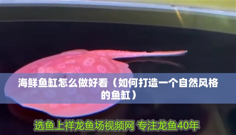 海鮮魚缸怎么做好看（如何打造一個自然風格的魚缸）