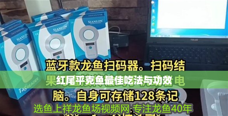 紅尾平克魚最佳吃法與功效