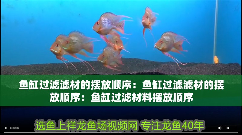 魚缸過濾濾材的擺放順序：魚缸過濾濾材的擺放順序：魚缸過濾材料擺放順序