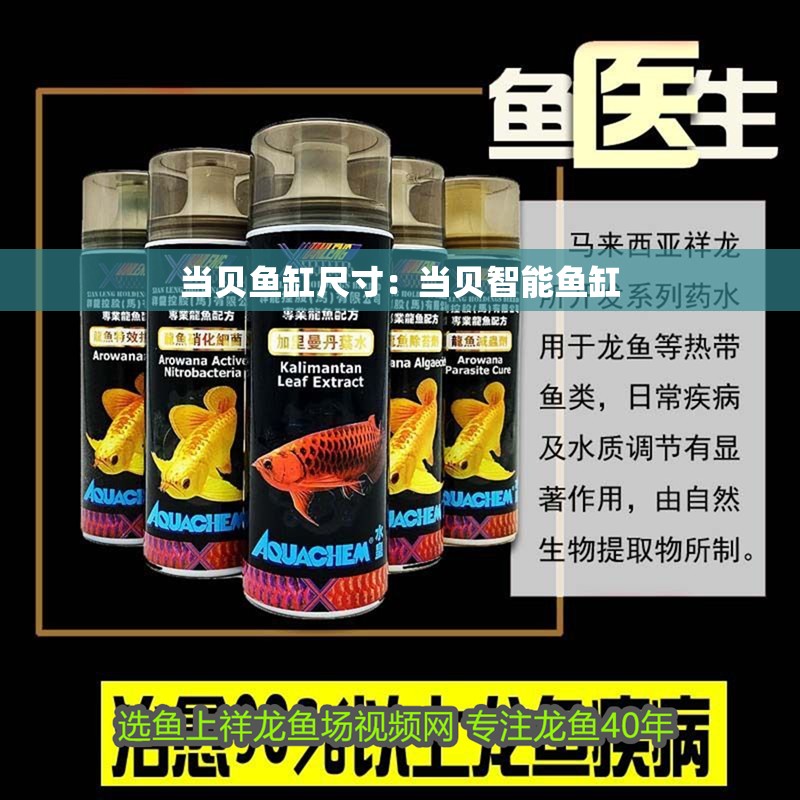 當貝魚缸尺寸：當貝智能魚缸