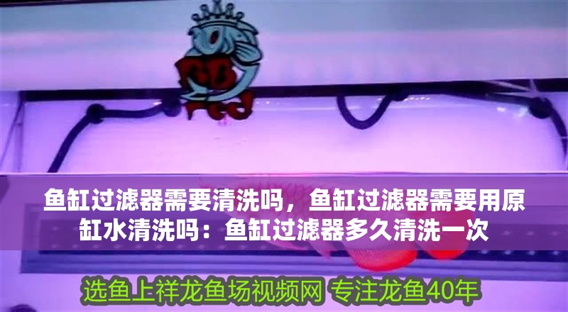 魚(yú)缸過(guò)濾器需要清洗嗎，魚(yú)缸過(guò)濾器需要用原缸水清洗嗎：魚(yú)缸過(guò)濾器多久清洗一次