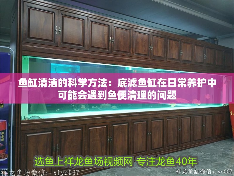 魚缸清潔的科學方法：底濾魚缸在日常養護中可能會遇到魚便清理的問題