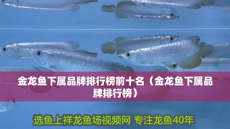 金龍魚(yú)下屬品牌排行榜前十名（金龍魚(yú)下屬品牌排行榜）