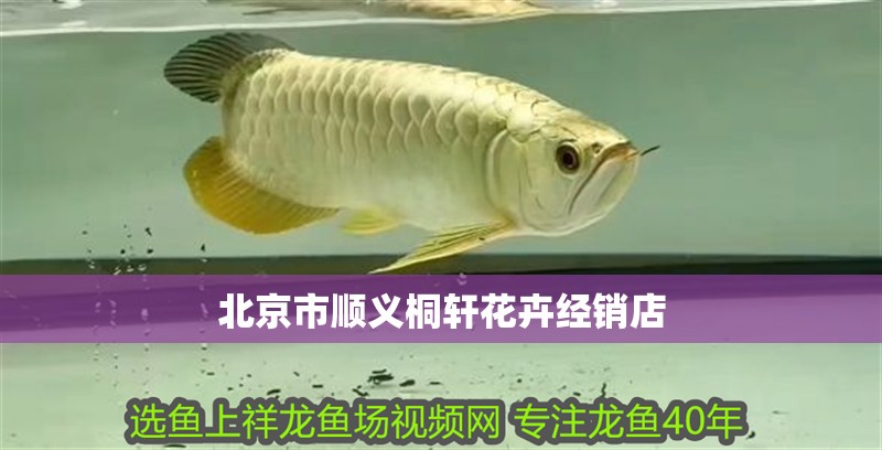 北京市順義桐軒花卉經銷店