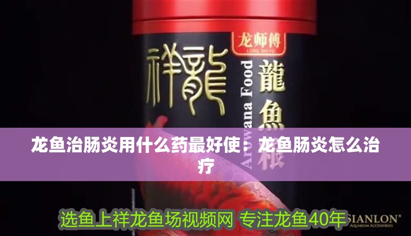 龍魚治腸炎用什么藥最好使：龍魚腸炎怎么治療