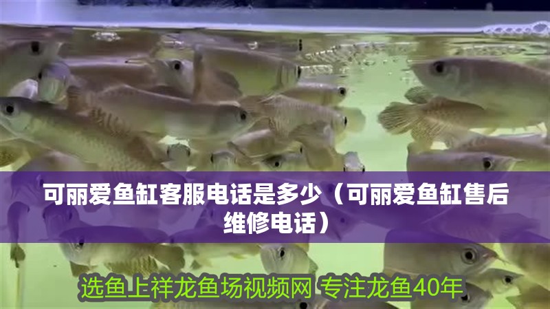 可麗愛魚缸客服電話是多少（可麗愛魚缸售后維修電話）