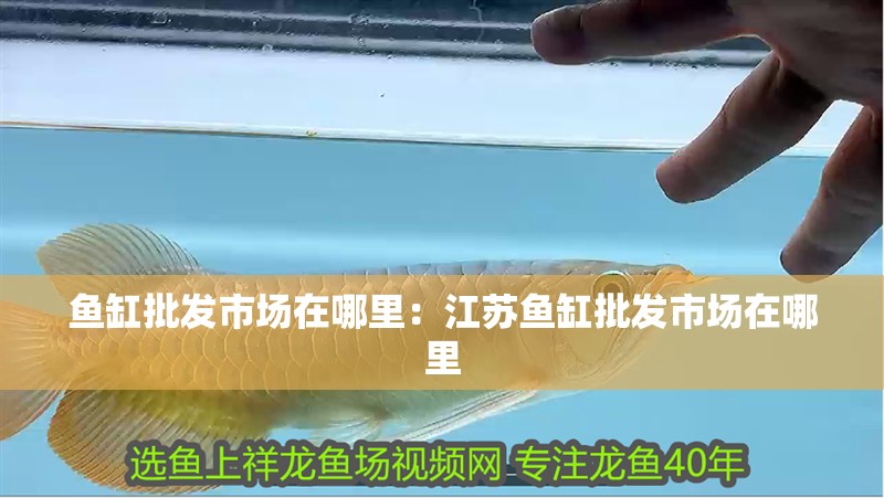 魚缸批發市場在哪里：江蘇魚缸批發市場在哪里