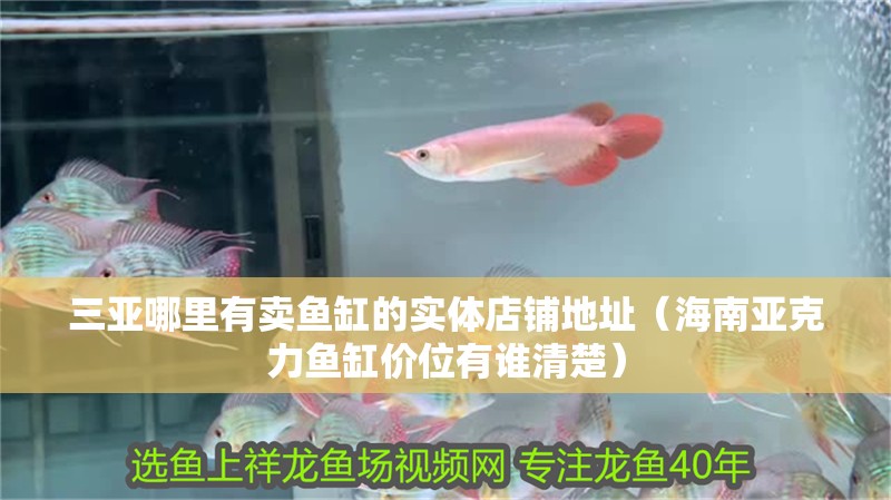 三亞哪里有賣魚缸的實體店鋪地址（海南亞克力魚缸價位有誰清楚）