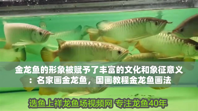金龍魚的形象被賦予了豐富的文化和象征意義：名家畫金龍魚，國畫教程金龍魚畫法