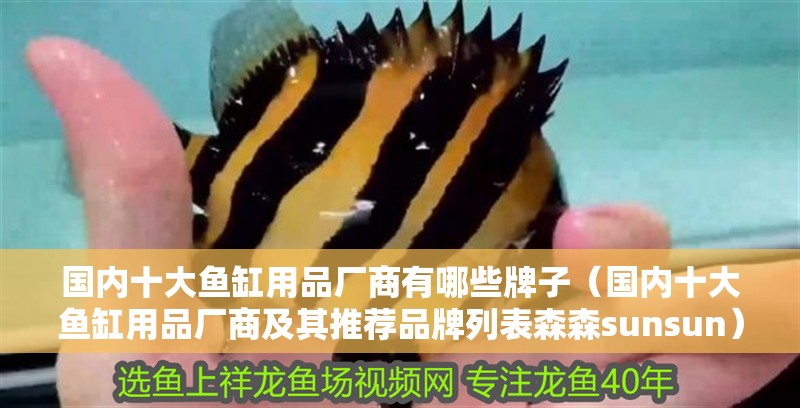 國內(nèi)十大魚缸用品廠商有哪些牌子（國內(nèi)十大魚缸用品廠商及其推薦品牌列表森森sunsun）